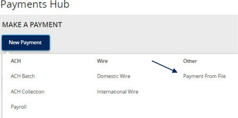 Payments Hub menu showing Payment from File.