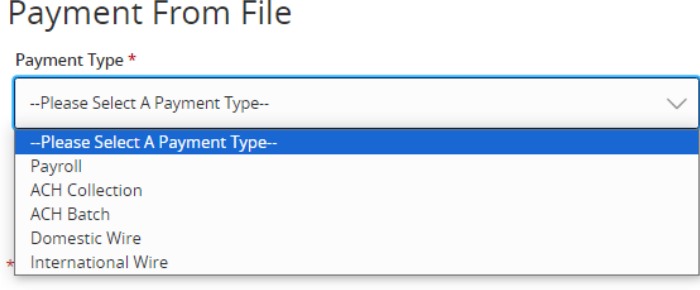 Payment From File drop-down menu options, including Payroll, ACH Collection, ACH Batch, Domestic Wire and International Wire