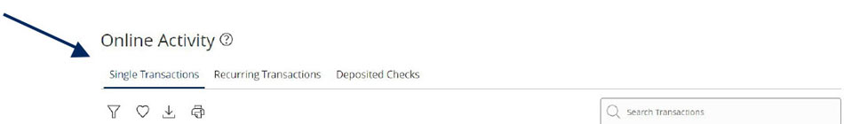 Online Activity screen with Single Transactions selected in the menu bar.