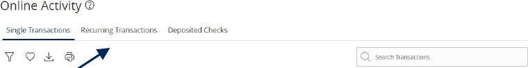 Online Activity with Recurring Transactions selected, which shows a list of items.