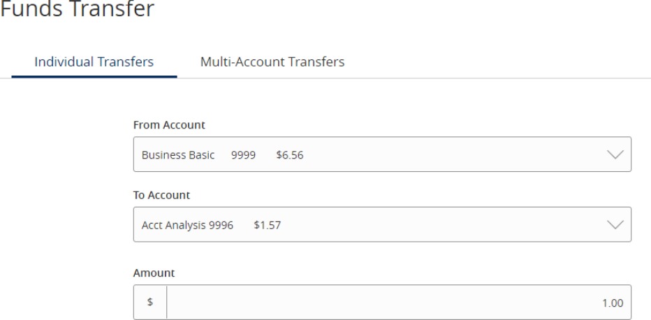 Funds Transfer and Individual Transfers showing From Account information, To Account information, and Amount for transaction.