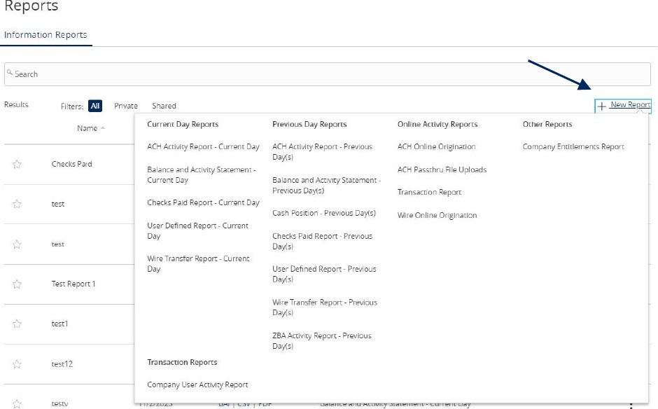 Reports content showing New Report