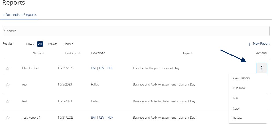 Reports content showing options to View History, Run On-Demand, Edit, Copy, or Delete the specific report.