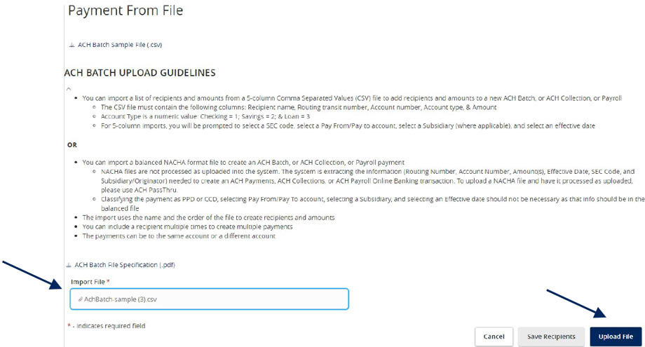 Payment from File with the Import File field, and then Upload File