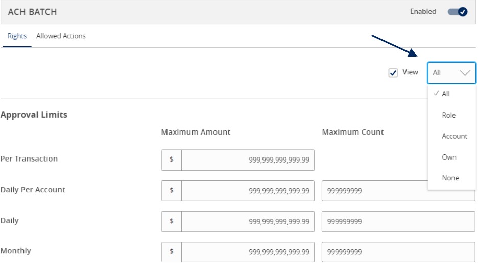 ACH Batch, Rights and Allowed Actions options, and the following options: All, Role, Account, Own, and None.