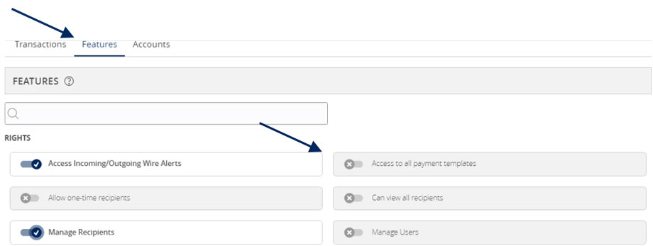 Features options, showing features tab and the following features: Access Incoming/Outgoing Wire Alerts, Allow one time recipient, Manage Recipients, Access to all payment templates, Can view all recipients, and Manage Users.