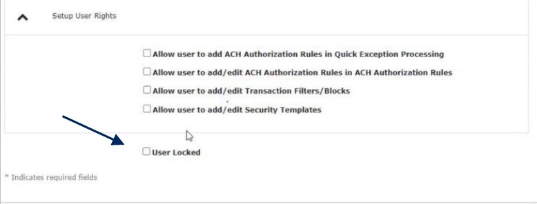 User Setup (Client) Security Settings tab and Setup User Rights section, showing User Locked option.