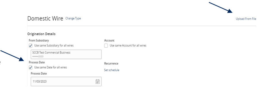 Domestic Wire form showing how to indicate the process date to use.