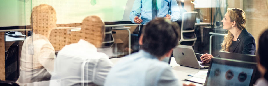 Group of business people at a meeting